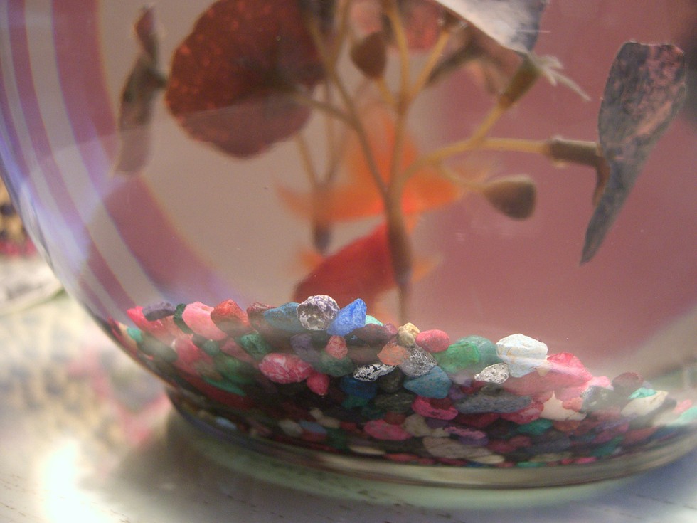 Bowser's Goldfish Bowser's Goldfish