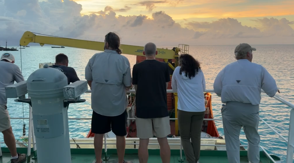 Expedition seeks to find Amelia Earhart's missing plane