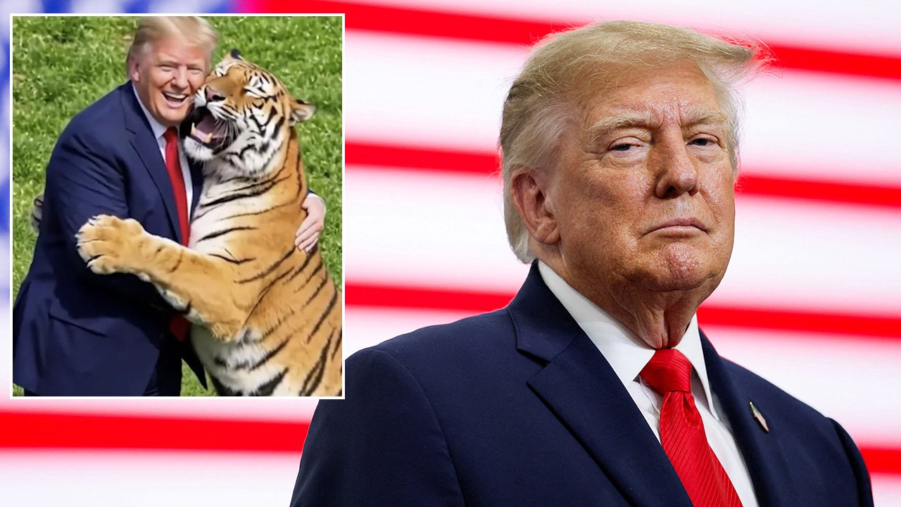 Donald Trump slammed by family of man mauled to death by tiger as they admit feeling 'severe distress'