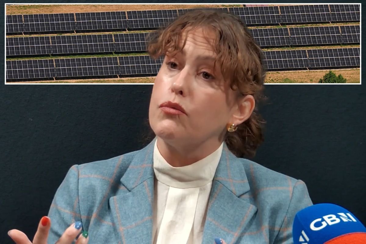 Tories push for 'national resilience' vote to ban solar panels from prime agricultural land