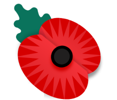 Remembrance poppy
