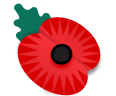 Remembrance poppy