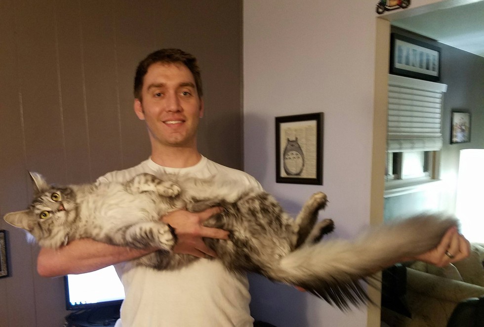 Biggest Cat In The World Guinness 2016 this fluffy cat may have the world's longest tail - love meow Biggest Cat In The World Guinness 2016 this fluffy cat may have the world's longest tail - love meow