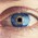 Iris or Retina Scan