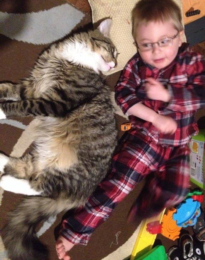 World S Biggest Maine Coon Watches Over His Tiny Brother