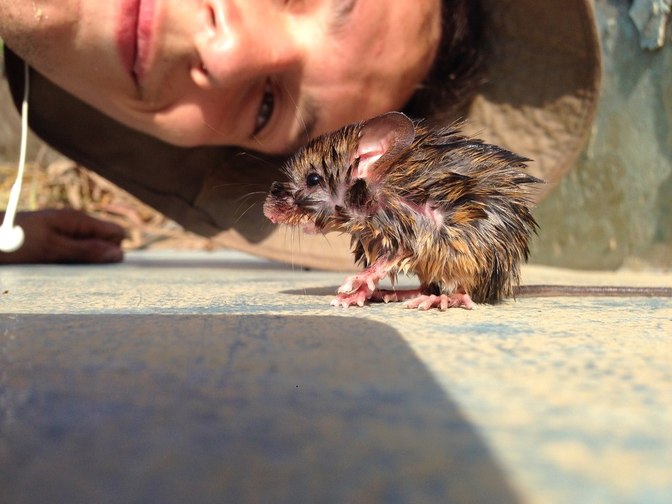 Man Saves Lizard And Mouse From Drowning And Makes Two New Friends