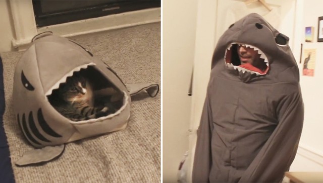 Comedian Dresses Up as Cat’s Favorite Toy