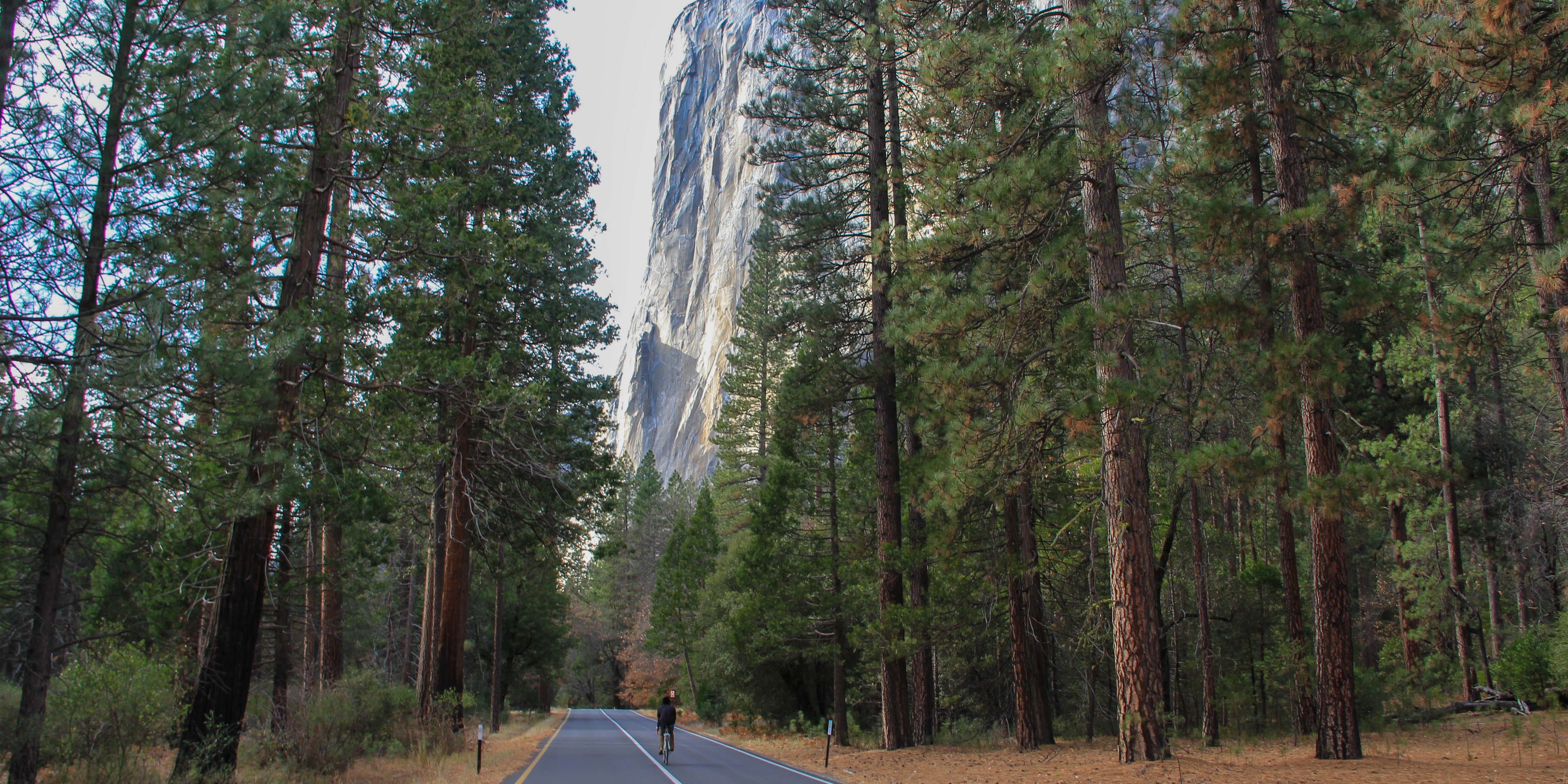 Hot Sex School Picnic Foresht - 14 Crowd-Free Spots to Explore in Yosemite Valley - 7x7 Bay Area