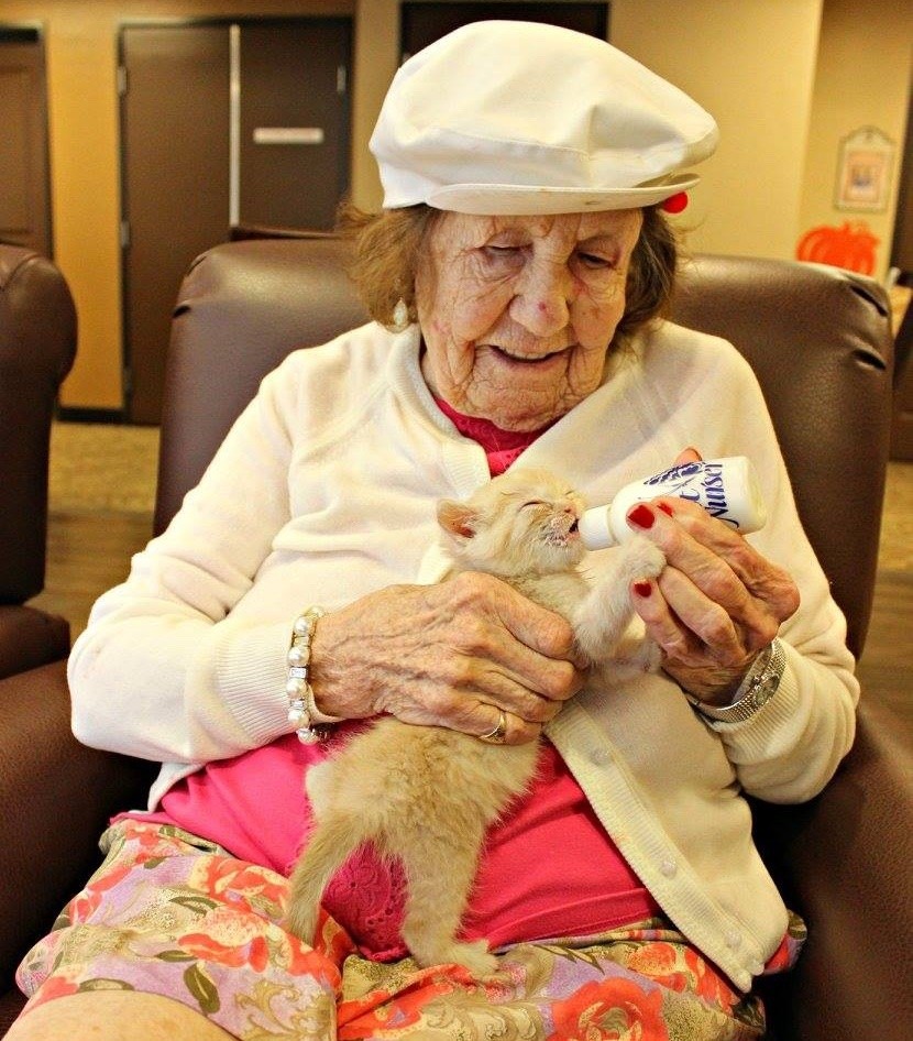 Senior Residents Work Together to Save Two Orphaned