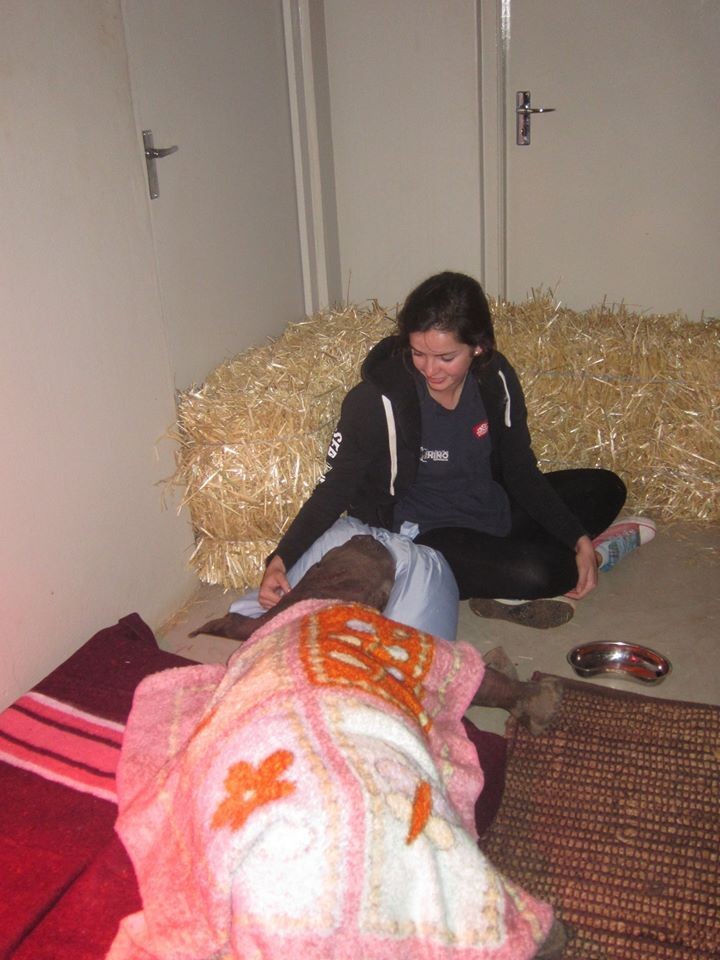 People Are Knitting Blankets To Keep Baby Rhinos Warm