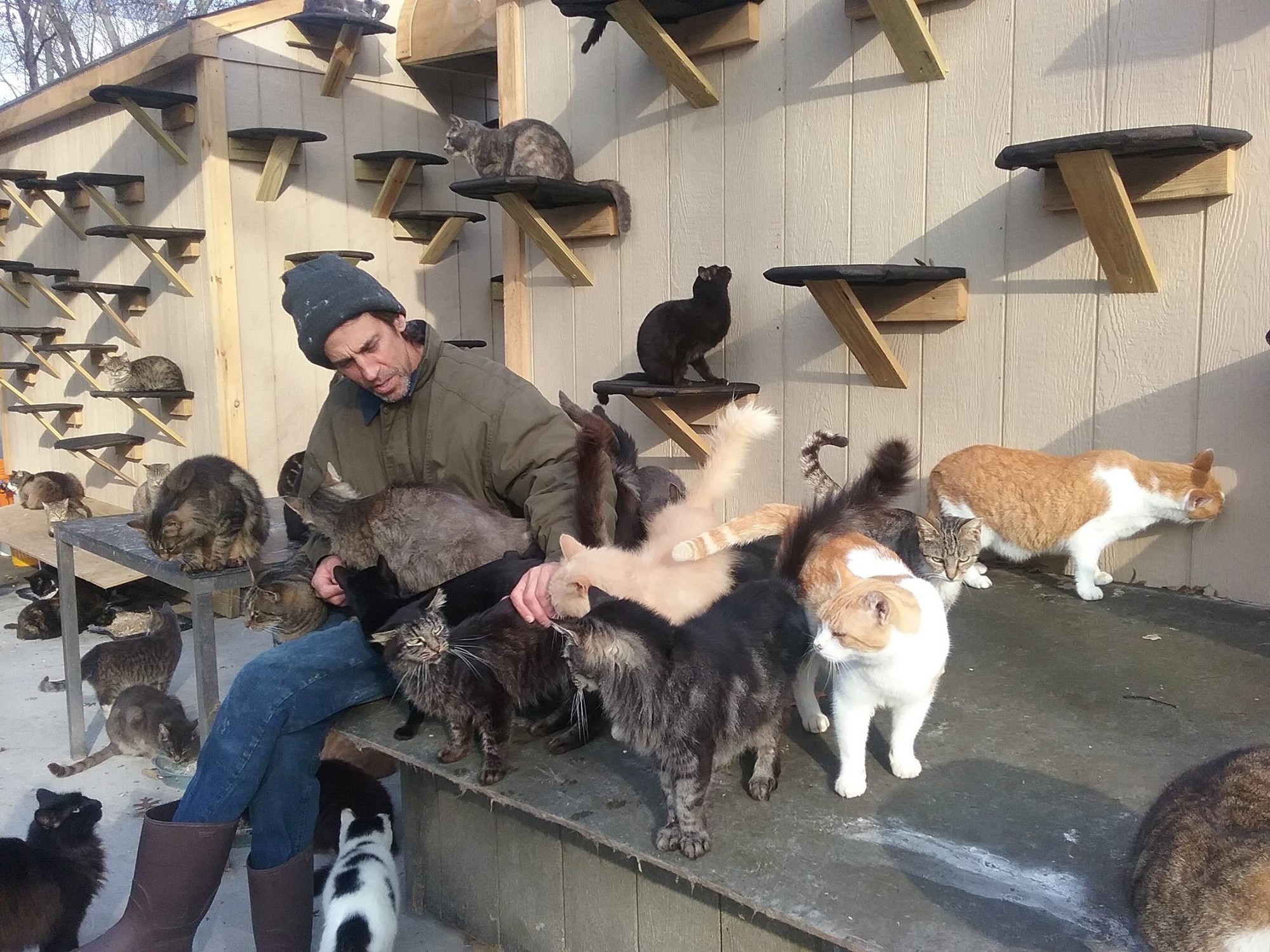 Man Saves Over 300 Homeless Cats After Losing His Son in an Accident - Love  Meow