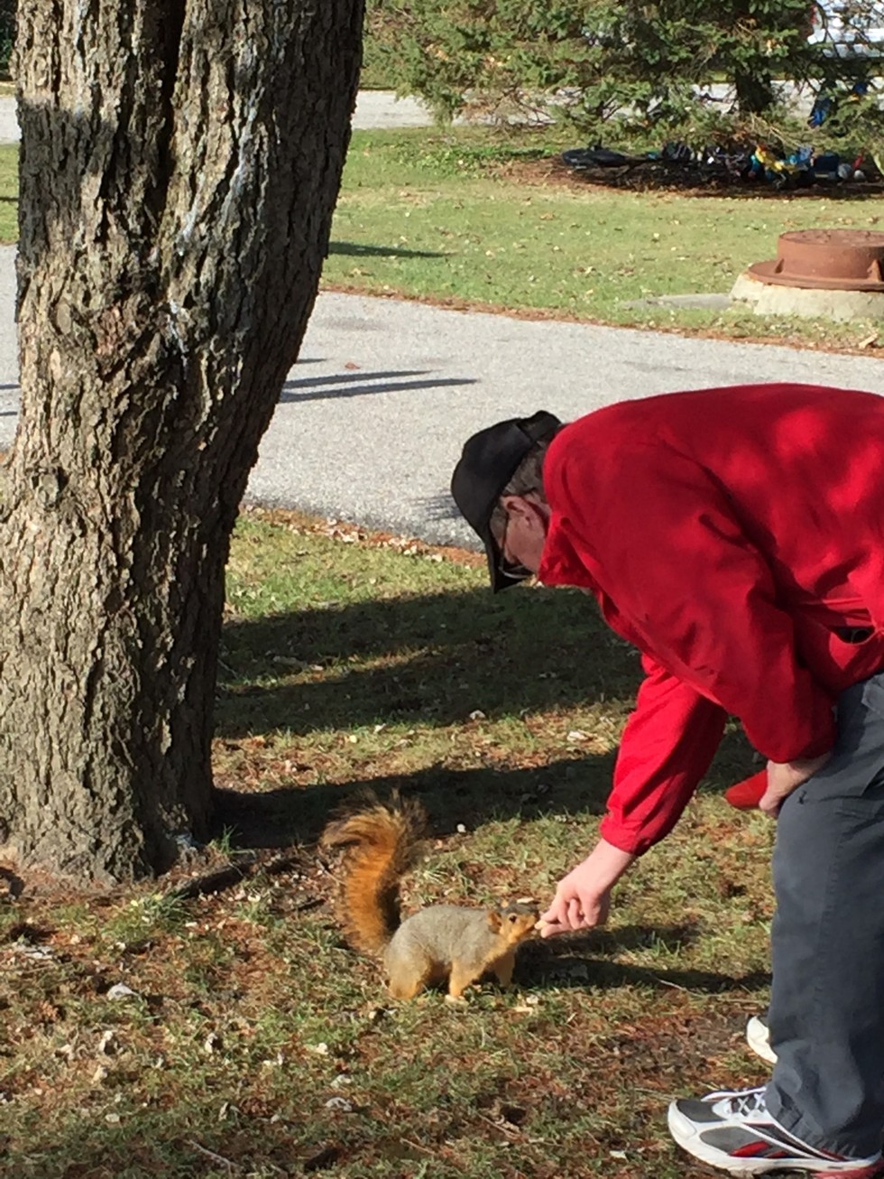 Man Builds Little Chair For Squirrels In His Backyard