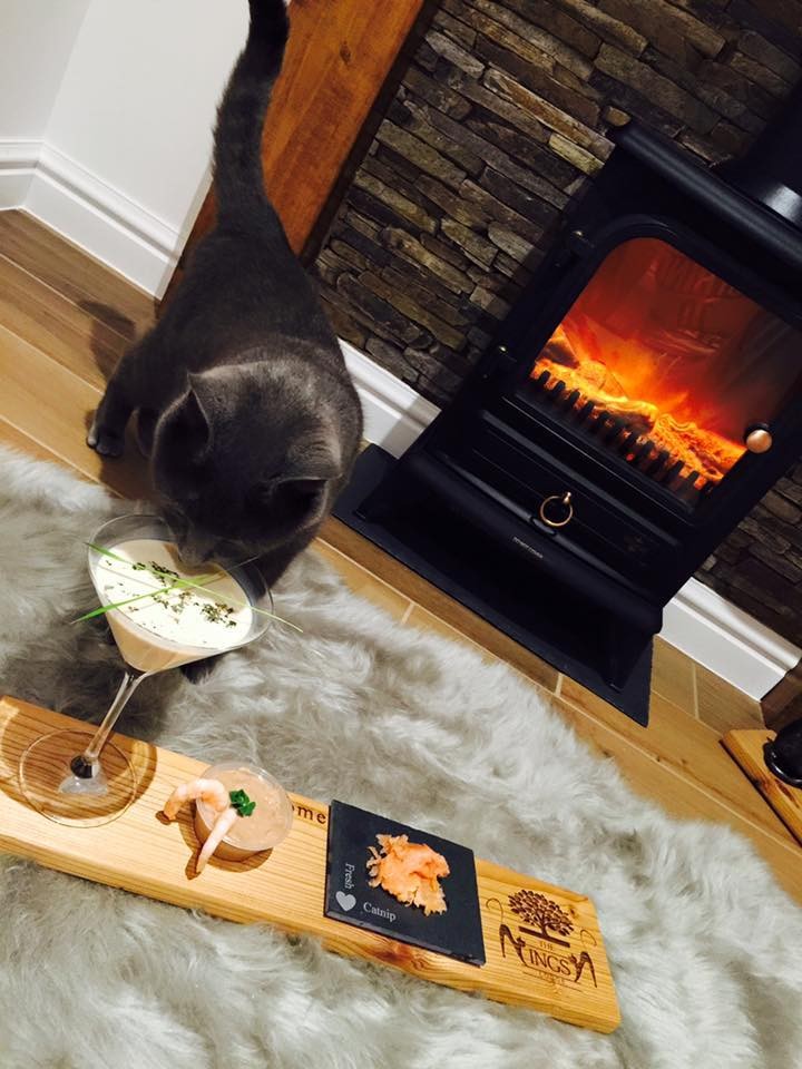 Luxury Cat Hotel Is Everything Your Cat Ever Dreamed Of