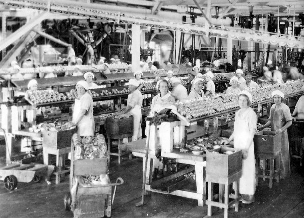 the meat packing industry in chicago during the late nineteenth century By the late nineteenth century, this lesson uses the meatpacking industry in chicago between the civil war and world meat packing was chicago's largest. the meat packing industry in chicago during the late nineteenth century By the late nineteenth century, this lesson uses the meatpacking industry in chicago between the civil war and world meat packing was chicago's largest.
