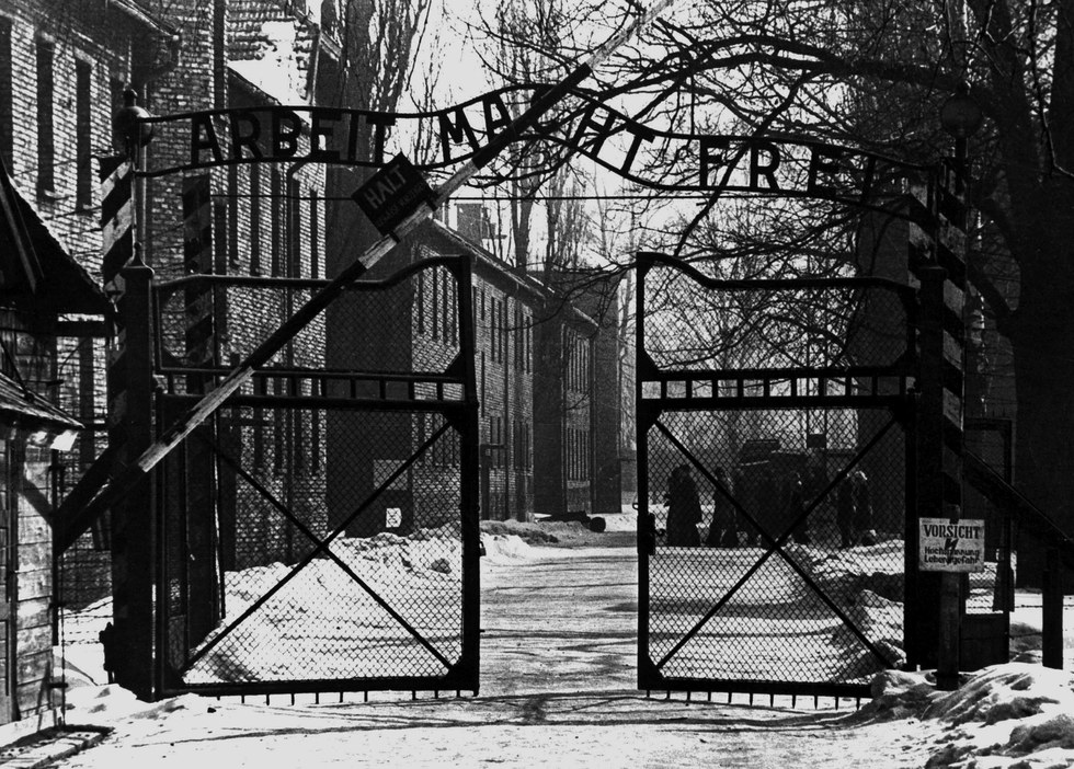 Image result for auschwitz pictures