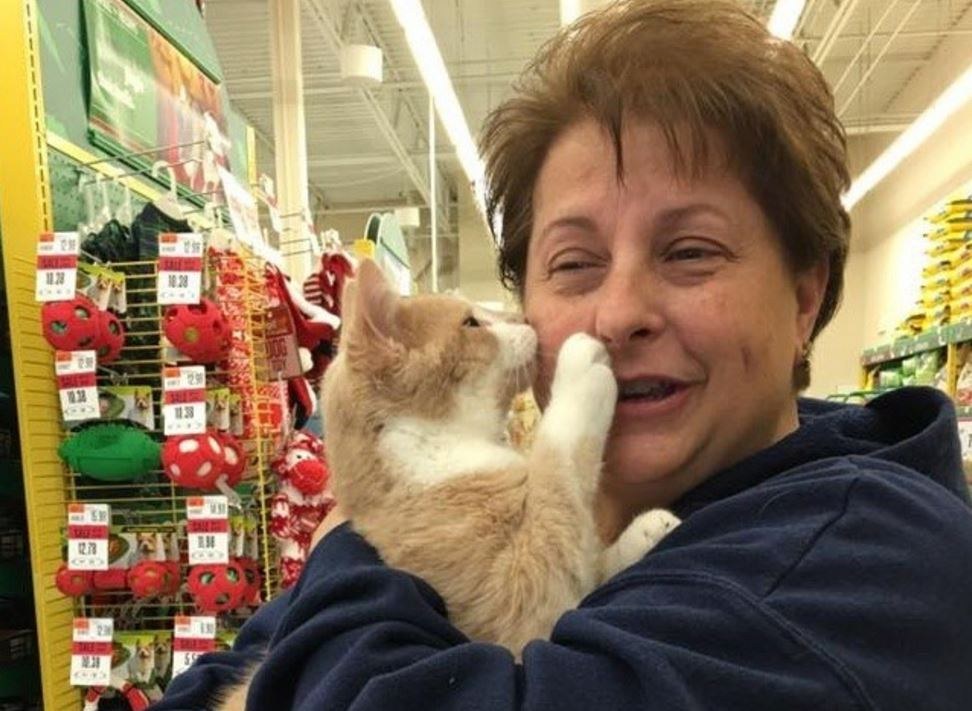 Cat Kisses Woman Who Rescued Him