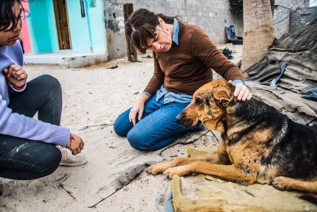 People helping a street dog in Mexico