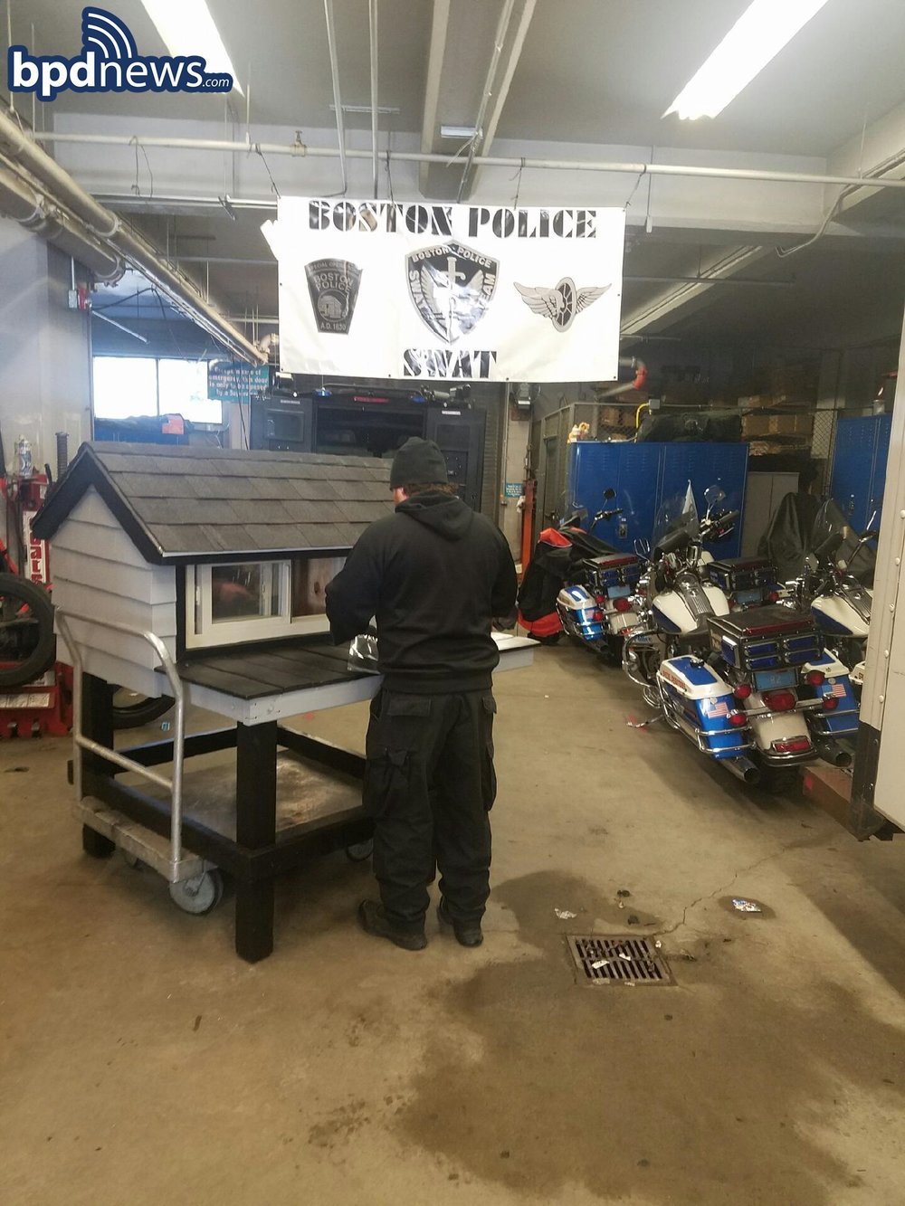 Boston Police Department (Official) - New Kitty Condo for SWAT Cat - Team  Mascot Moves into New Home at Boston Police SWAT Base in Roxbury Yesterday,  on Friday February 10, 2017, officers