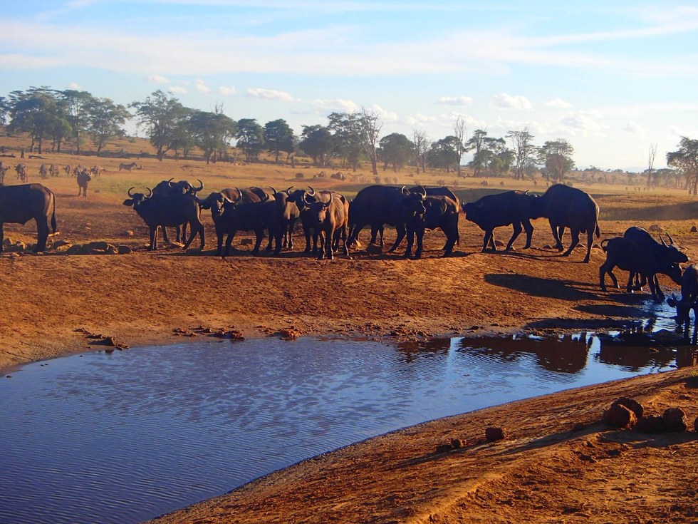 water truck in tsavo kenya