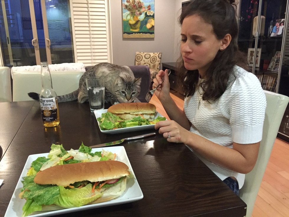 Cat's Parents Take Pictures Of Him Watching Them Eat
