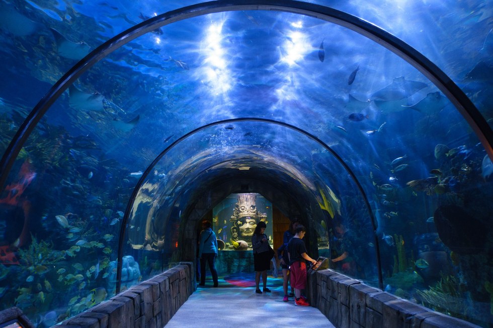 5-best-aquariums-to-visit-in-america-the-journiest