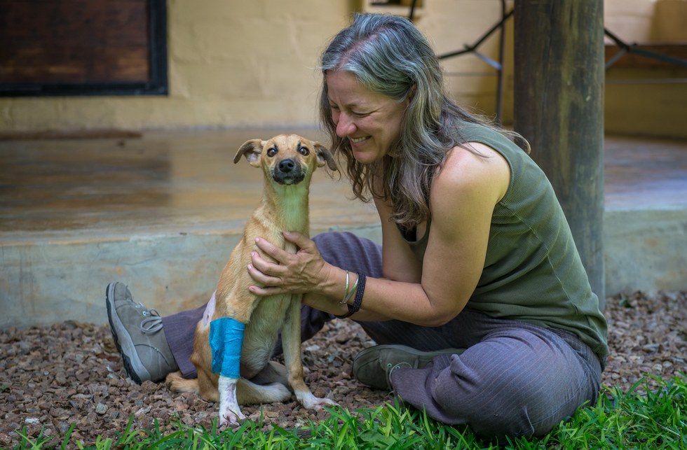 paralyzed puppy drags herself for miles to find help