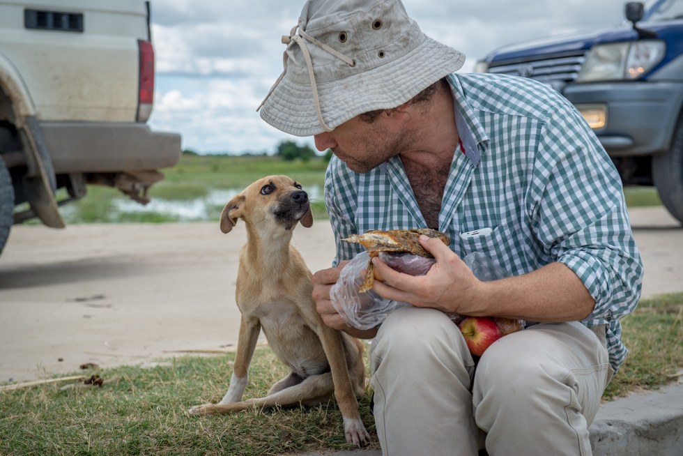 paralyzed puppy drags herself for miles to find help