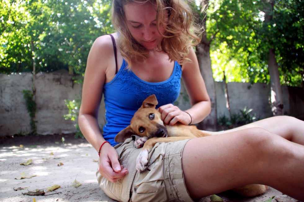 paralyzed puppy drags herself for miles to find help