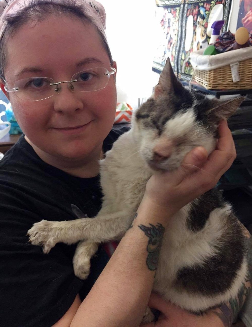 12-year-old-cat-who-was-neglected-receives-love-and-can-t-stop-hugging