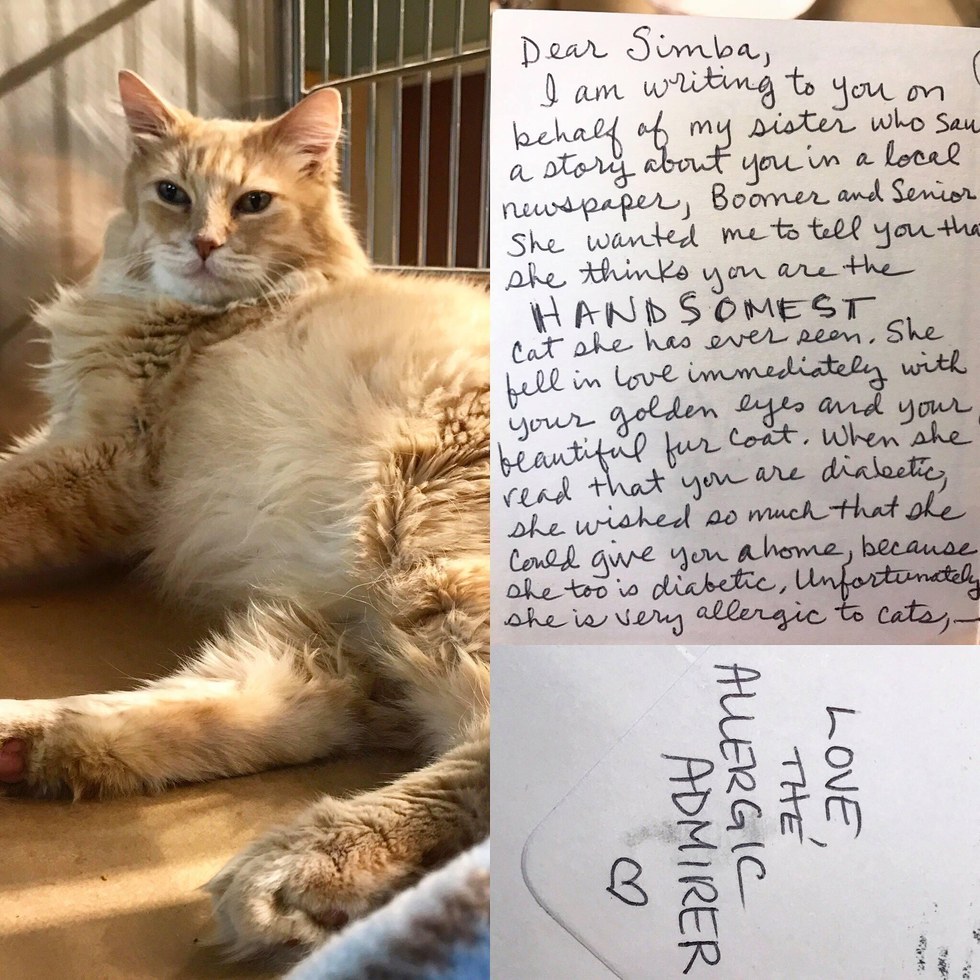 11-year-old-shelter-cat-with-special-needs-receives-letter-from-secret