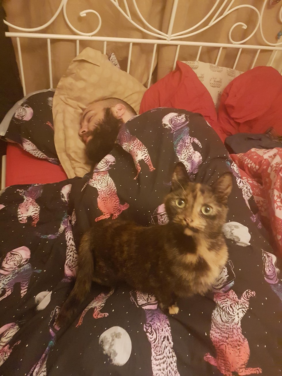 They Gave a Little Runt a Home, She Clings to Them For Life... (Then