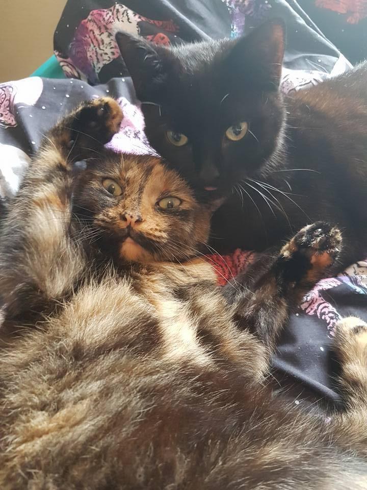 They Gave a Little Runt a Home, She Clings to Them For Life... (Then