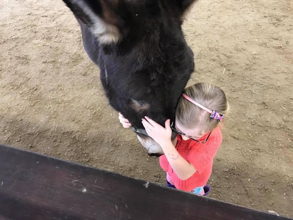 Girl and therapy donkey at The Donkey Sanctuary share hug