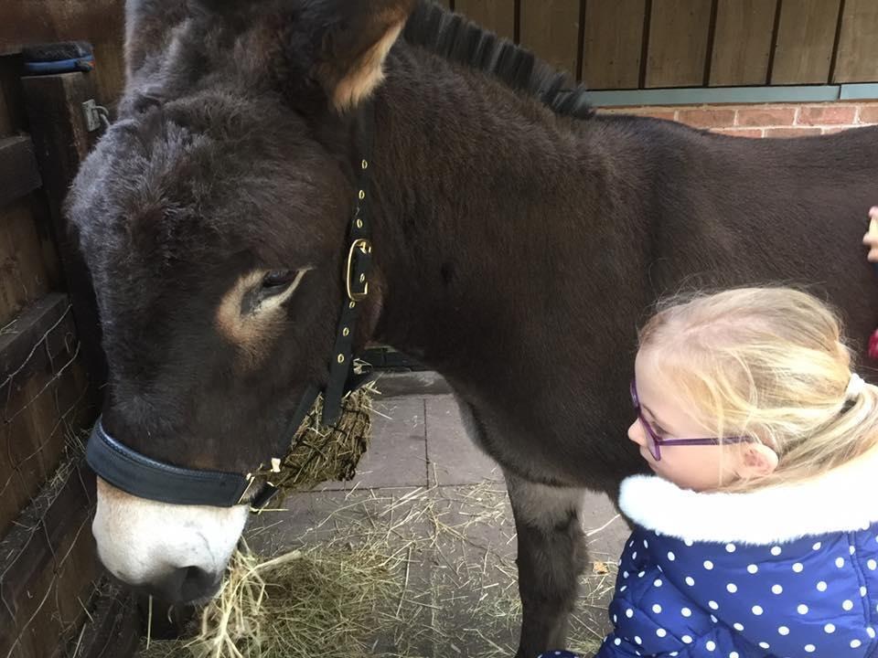 Girl greeting her therapy donkey at The Donkey Sanctuary in Birmingham