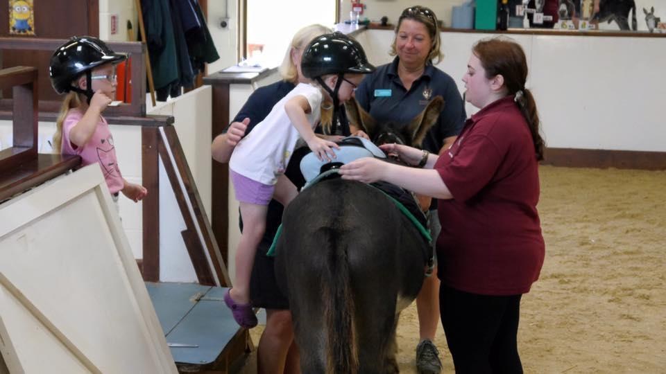 Girl riding therapy donkey at The Donkey Sanctuary in Birmingham