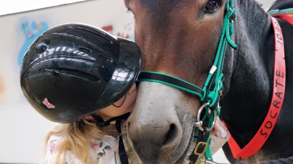 Girl kissing her therapy donkey