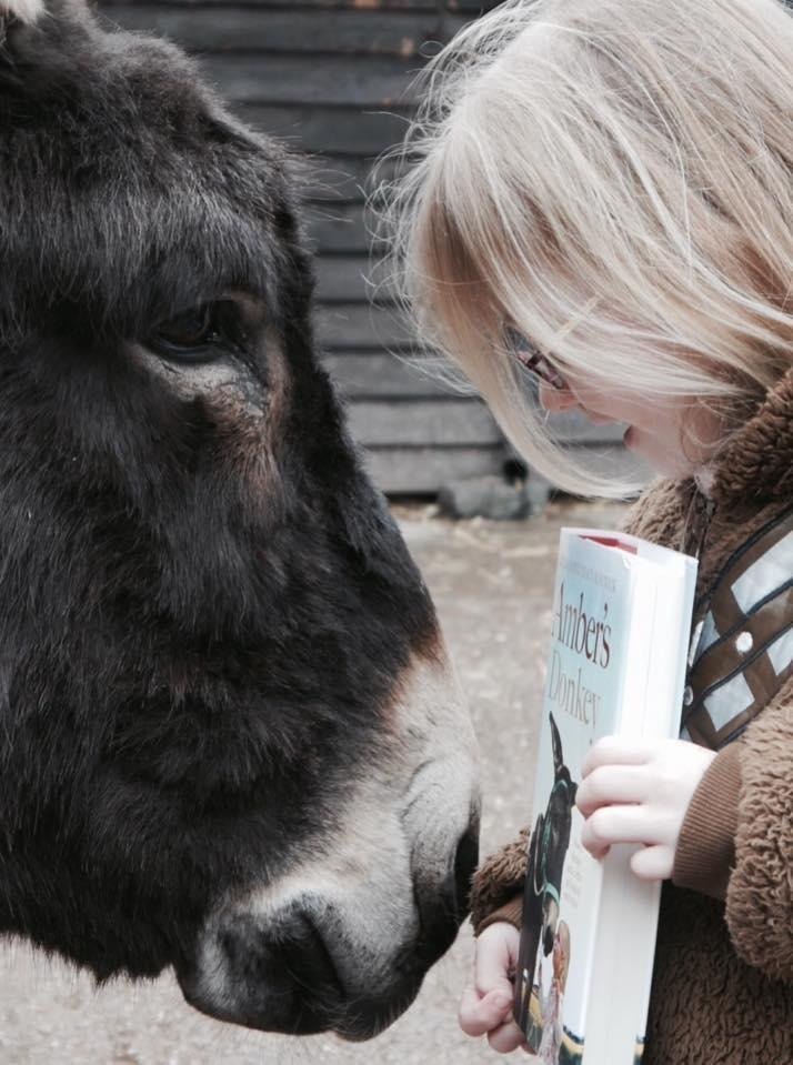 Therapy donkey and his favorite girl