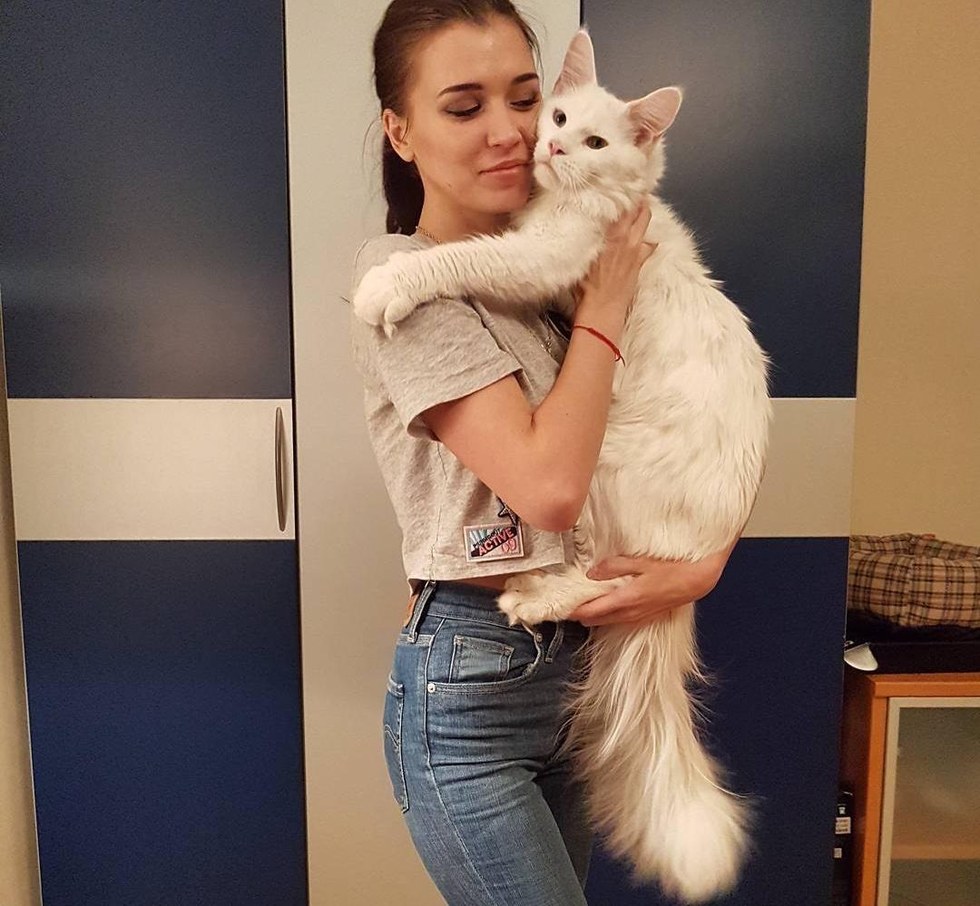 Cuddly Big Kitty Grows Up Hugging His Human Every Chance He Gets - Love ...