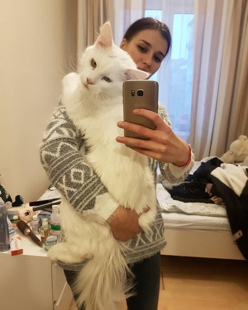 Cuddly Big Kitty Grows Up Hugging His Human Every Chance He Gets - Love