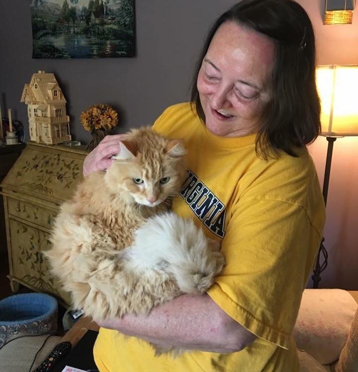 Cat Grieving Over His Old Owner Finds Happiness After Woman Saves Him from Shelter… Love Meow